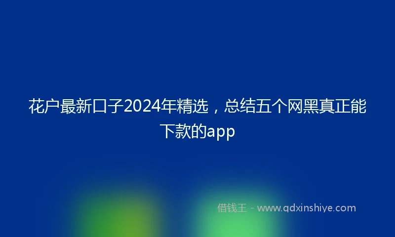 花户最新口子2024年精选，总结五个网黑真正能下款的app