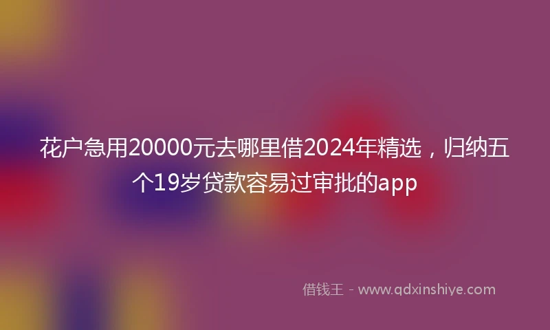 花户急用20000元去哪里借2024年精选,归纳五个19岁贷款容易过审批的app