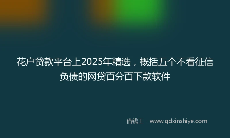花户贷款平台上2025年精选，概括五个不看征信负债的网贷百分百下款软件