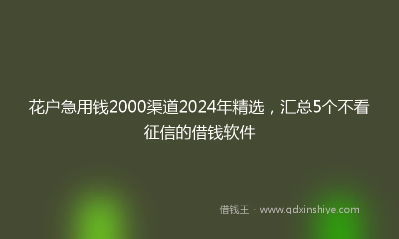 花户急用钱2000渠道2024年精选，汇总5个不看征信的借钱软件