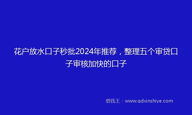 花户放水口子秒批2024年推荐，整理五个审贷口子审核加快的口子
