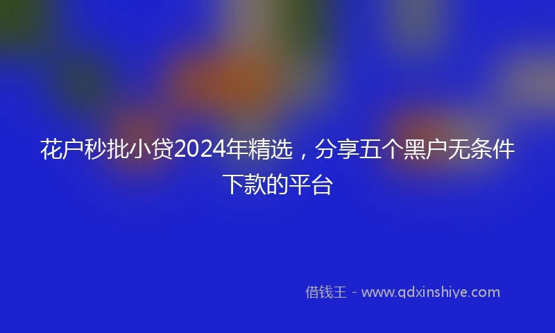 花户秒批小贷2024年精选，分享五个黑户无条件下款的平台