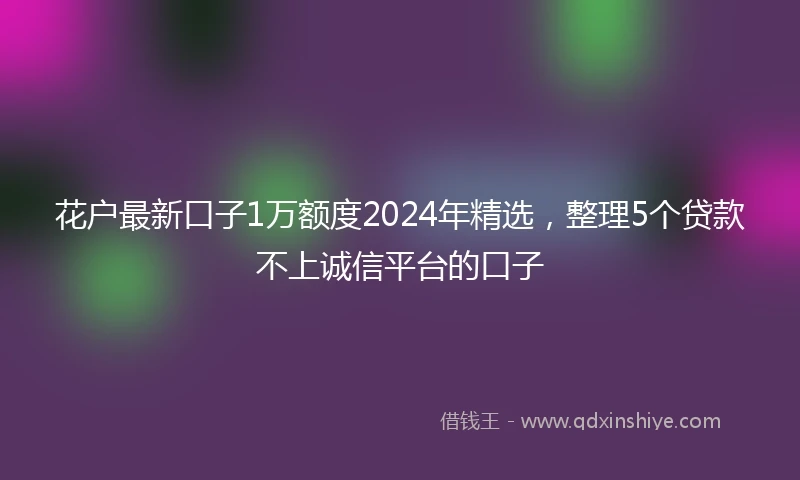 花户最新口子1万额度2024年精选，整理5个贷款不上诚信平台的口子