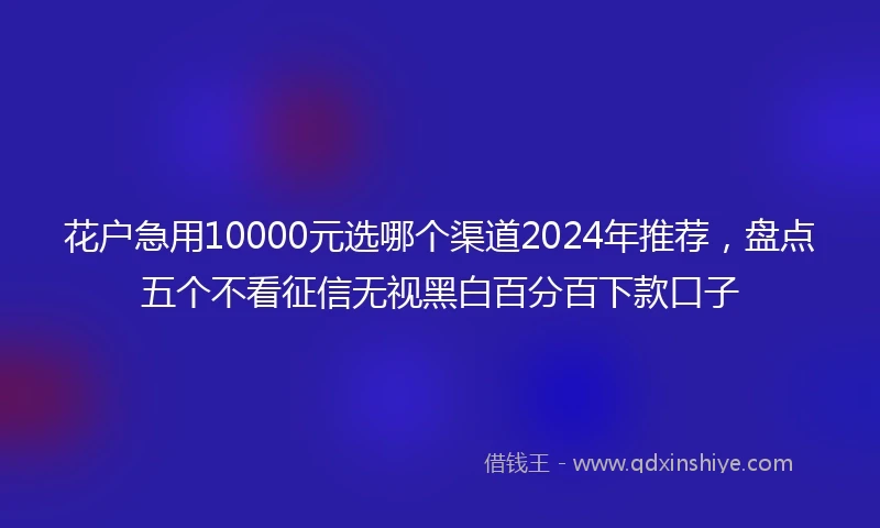 花户急用10000元选哪个渠道2024年推荐，盘点五个不看征信无视黑白百分百下款口子