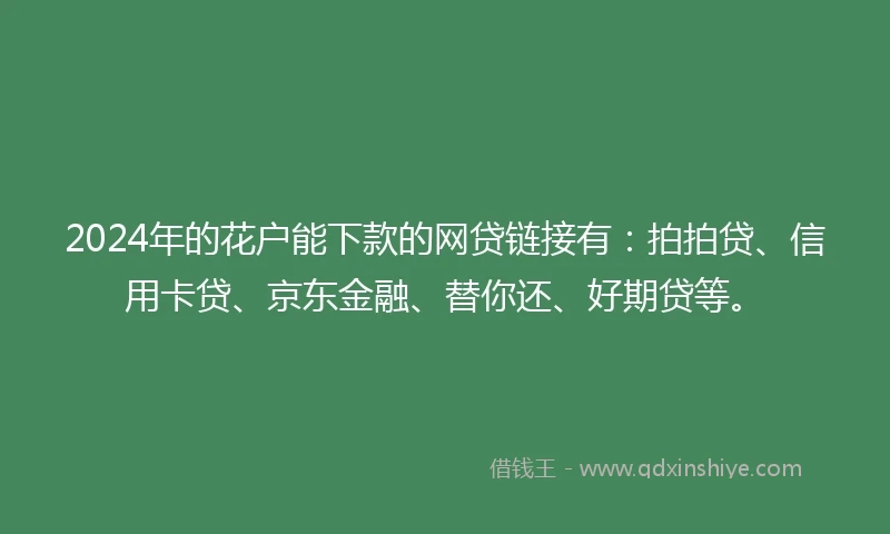 2024年的花户能下款的网贷链接有：拍拍贷、信用卡贷、京东金融、替你还、好期贷等。
