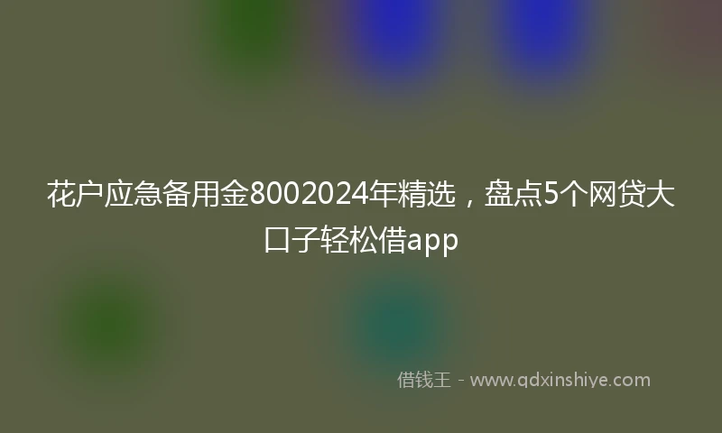 花户应急备用金8002024年精选，盘点5个网贷大口子轻松借app