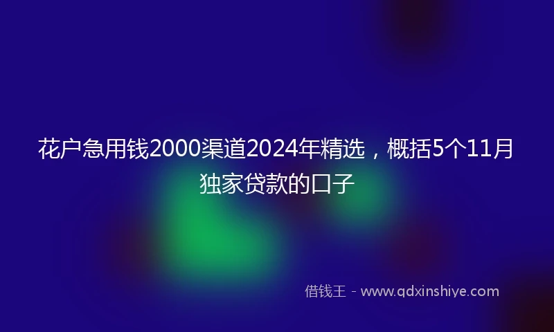花户急用钱2000渠道2024年精选，概括5个11月独家贷款的口子
