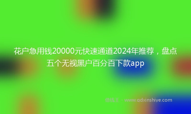 花户急用钱20000元快速通道2024年推荐，盘点五个无视黑户百分百下款app