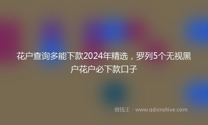 花户查询多能下款2024年精选，罗列5个无视黑户花户必下款口子