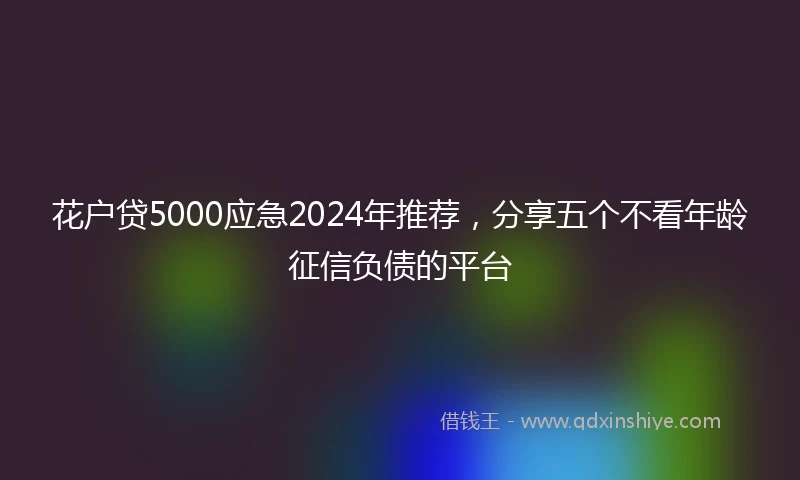 花户贷5000应急2024年推荐，分享五个不看年龄征信负债的平台