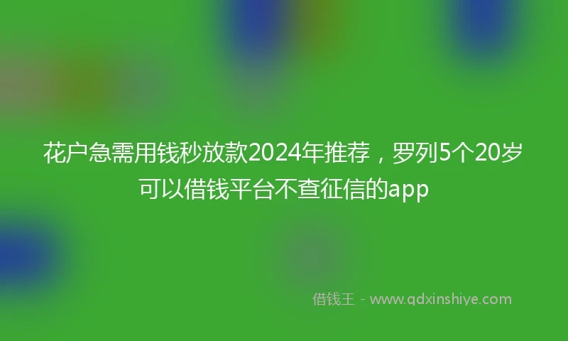 花户急需用钱秒放款2024年推荐，罗列5个20岁可以借钱平台不查征信的app