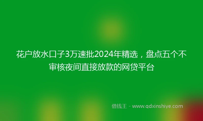 花户放水口子3万速批2024年精选，盘点五个不审核夜间直接放款的网贷平台