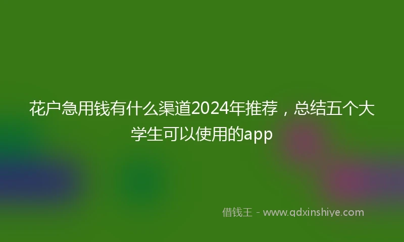 花户急用钱有什么渠道2024年推荐，总结五个大学生可以使用的app