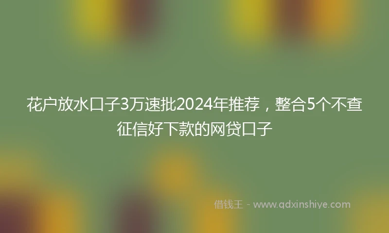 花户放水口子3万速批2024年推荐，整合5个不查征信好下款的网贷口子