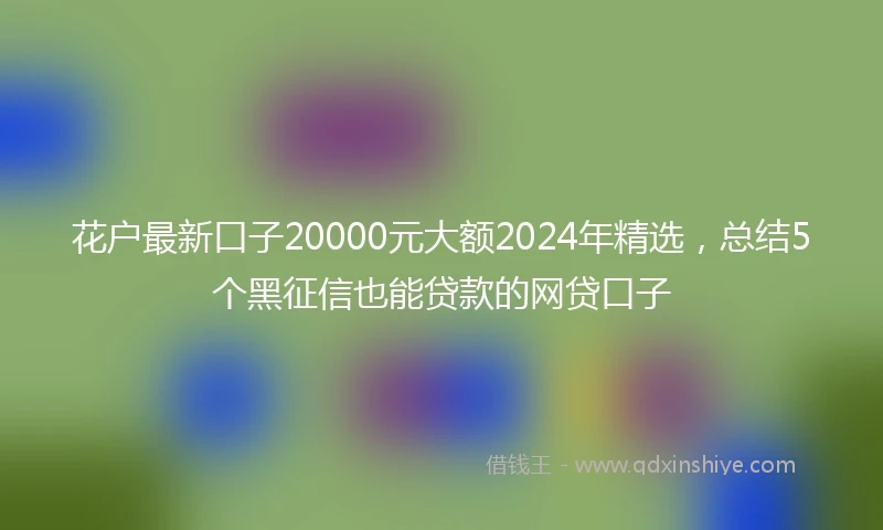 花户最新口子20000元大额2024年精选，总结5个黑征信也能贷款的网贷口子