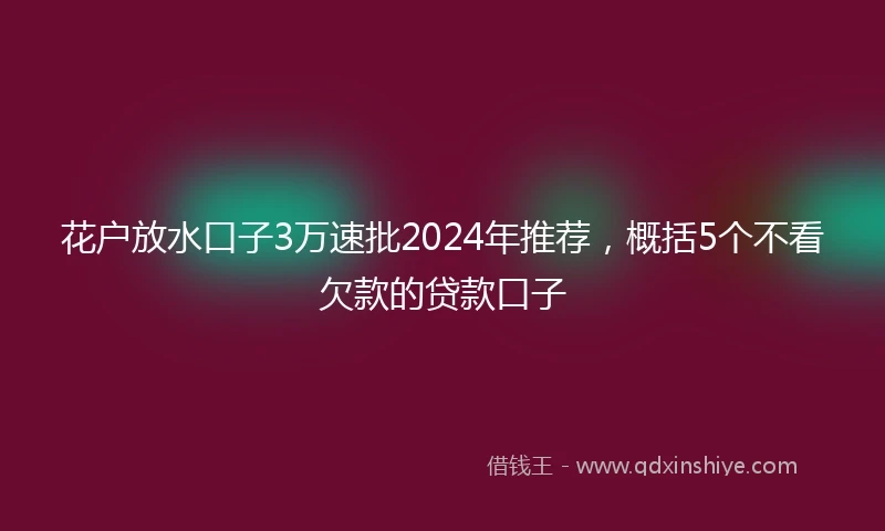 花户放水口子3万速批2024年推荐，概括5个不看欠款的贷款口子