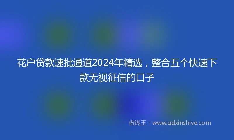 花户贷款速批通道2024年精选，整合五个快速下款无视征信的口子