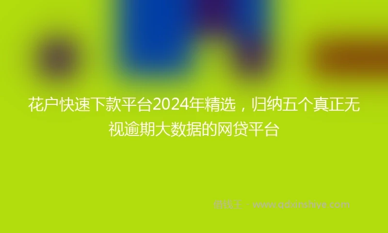花户快速下款平台2024年精选，归纳五个真正无视逾期大数据的网贷平台