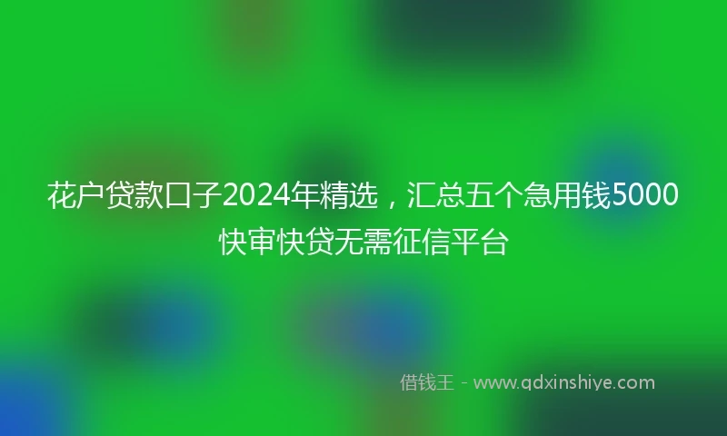 花户贷款口子2024年精选，汇总五个急用钱5000快审快贷无需征信平台