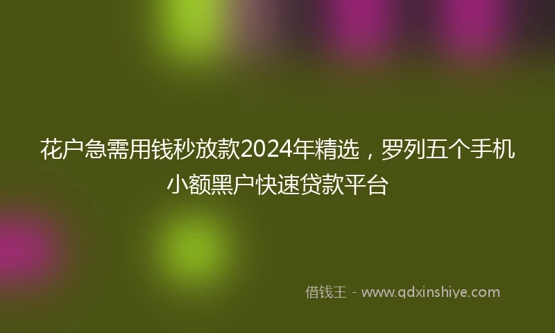 花户急需用钱秒放款2024年精选，罗列五个手机小额黑户快速贷款平台