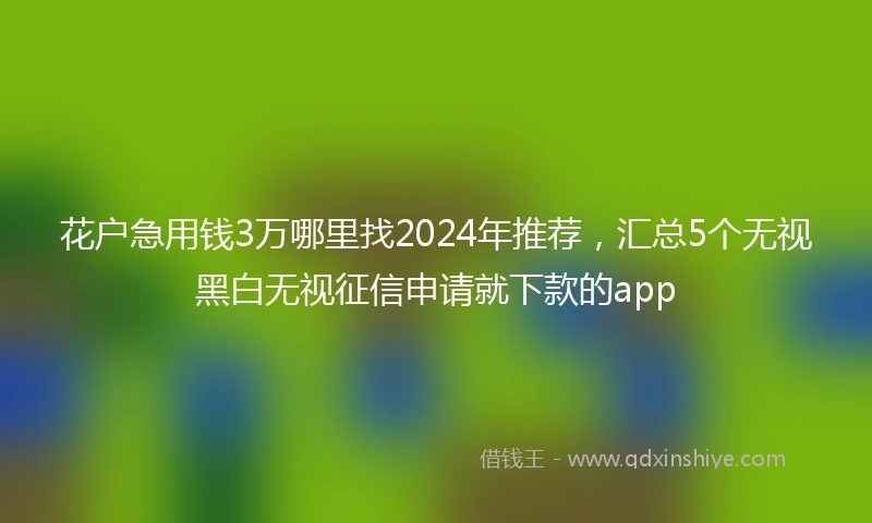花户急用钱3万哪里找2024年推荐，汇总5个无视黑白无视征信申请就下款的app