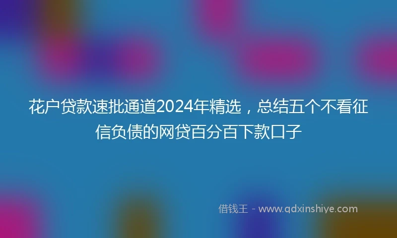 花户贷款速批通道2024年精选，总结五个不看征信负债的网贷百分百下款口子