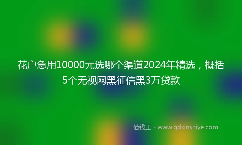 花户急用10000元选哪个渠道2024年精选,概括5个无视网黑征信黑3万贷款