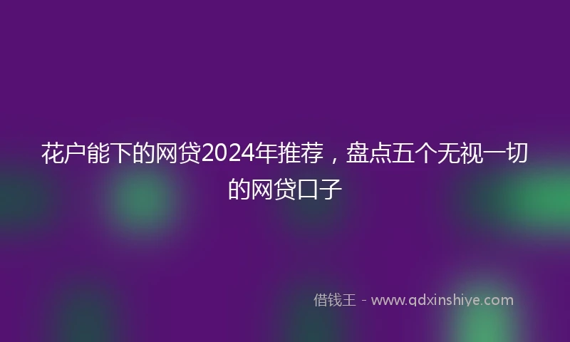 花户能下的网贷2024年推荐，盘点五个无视一切的网贷口子
