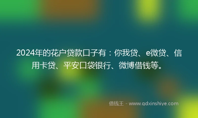 2024年的花户贷款口子有：你我贷、e微贷、信用卡贷、平安口袋银行、微博借钱等。