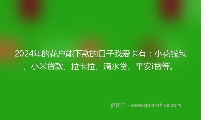 2024年的花户能下款的口子我爱卡有：小花钱包、小米贷款、拉卡拉、滴水贷、平安i贷等。