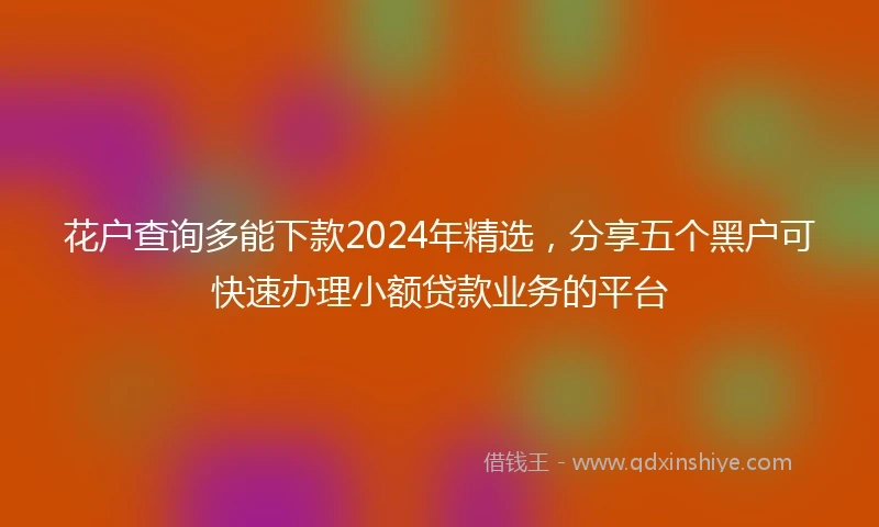 花户查询多能下款2024年精选，分享五个黑户可快速办理小额贷款业务的平台