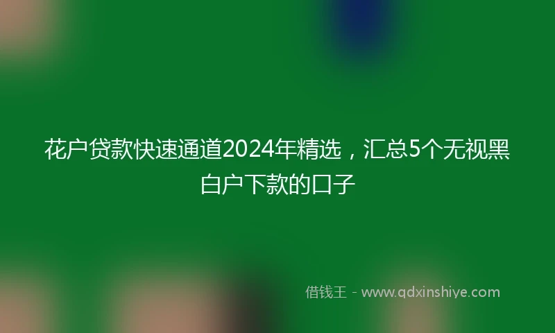 花户贷款快速通道2024年精选，汇总5个无视黑白户下款的口子