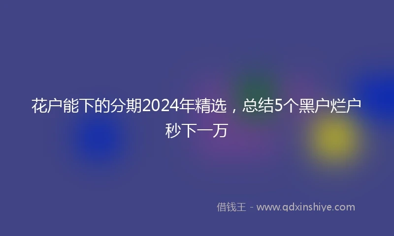 花户能下的分期2024年精选，总结5个黑户烂户秒下一万