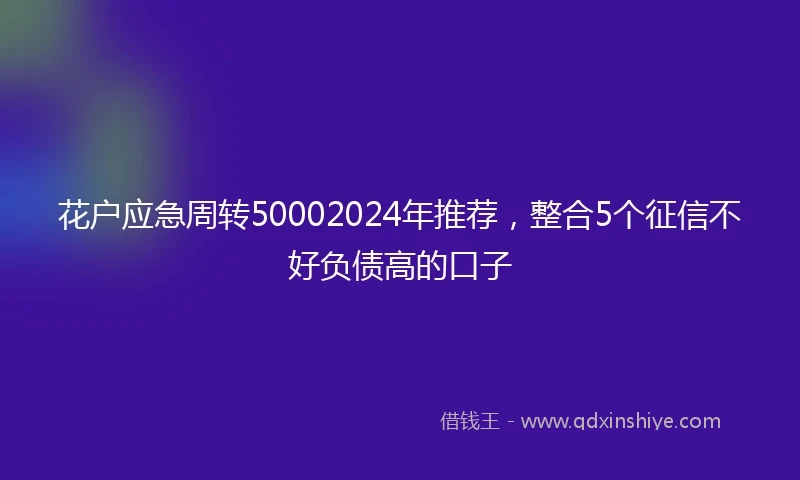 花户应急周转50002024年推荐，整合5个征信不好负债高的口子