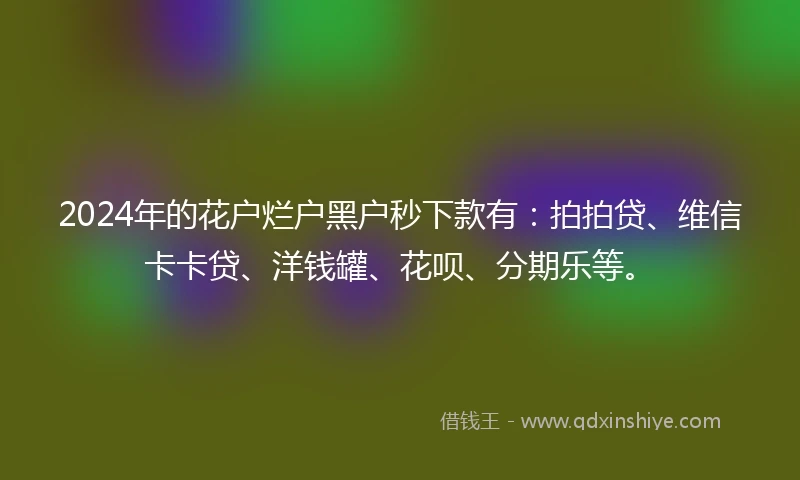 2024年的花户烂户黑户秒下款有：拍拍贷、维信卡卡贷、洋钱罐、花呗、分期乐等。