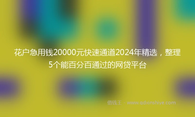 花户急用钱20000元快速通道2024年精选,整理5个能百分百通过的网贷平台