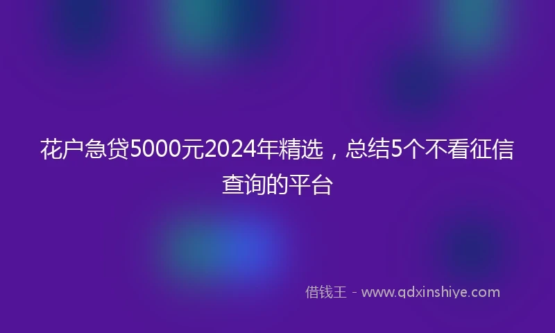 花户急贷5000元2024年精选，总结5个不看征信查询的平台