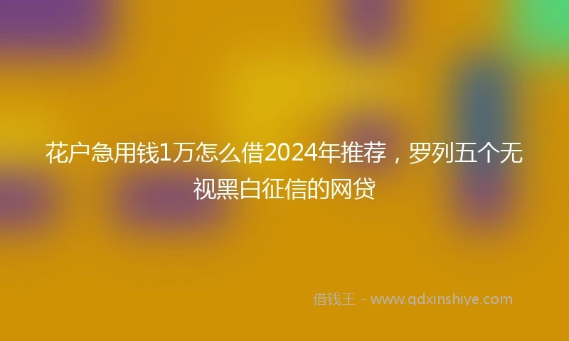 花户急用钱1万怎么借2024年推荐，罗列五个无视黑白征信的网贷