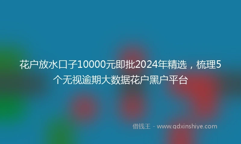 花户放水口子10000元即批2024年精选，梳理5个无视逾期大数据花户黑户平台