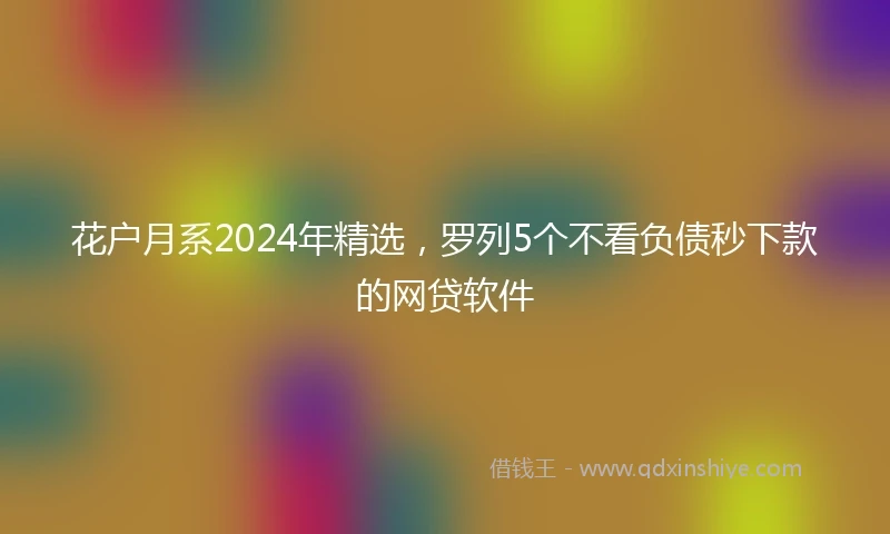 花户月系2024年精选，罗列5个不看负债秒下款的网贷软件