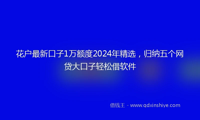花户最新口子1万额度2024年精选，归纳五个网贷大口子轻松借软件