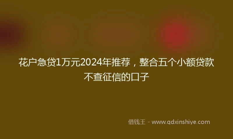 花户急贷1万元2024年推荐，整合五个小额贷款不查征信的口子