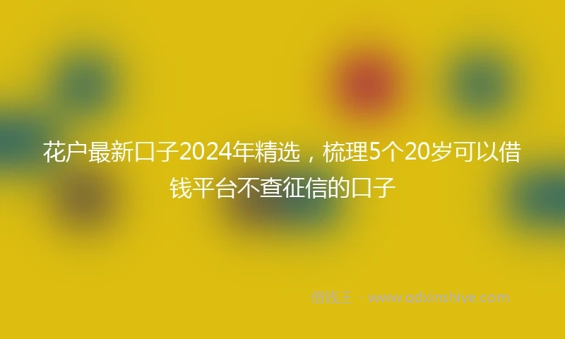 花户最新口子2024年精选，梳理5个20岁可以借钱平台不查征信的口子