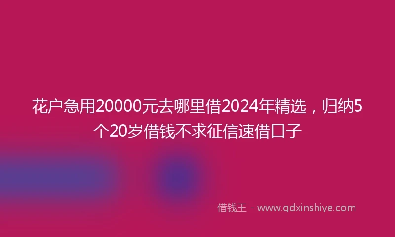 花户急用20000元去哪里借2024年精选，归纳5个20岁借钱不求征信速借口子