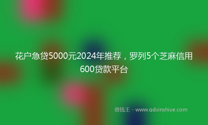 花户急贷5000元2024年推荐，罗列5个芝麻信用600贷款平台