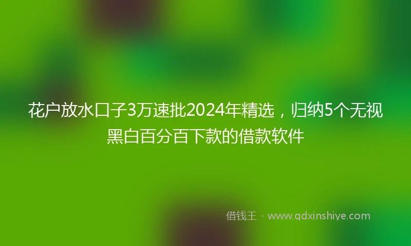 花户放水口子3万速批2024年精选，归纳5个无视黑白百分百下款的借款软件