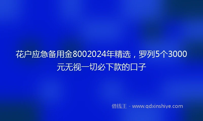 花户应急备用金8002024年精选，罗列5个3000元无视一切必下款的口子