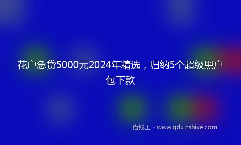 花户急贷5000元2024年精选，归纳5个超级黑户包下款