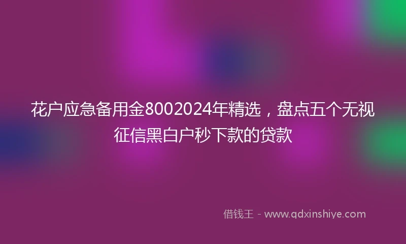 花户应急备用金8002024年精选，盘点五个无视征信黑白户秒下款的贷款