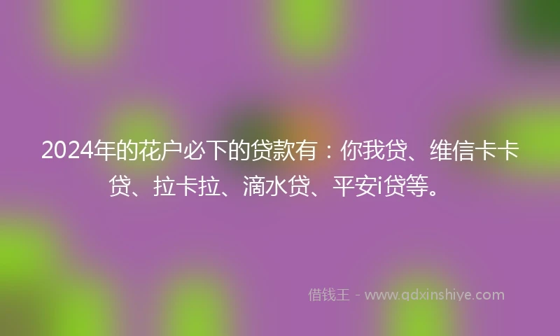 2024年的花户必下的贷款有：你我贷、维信卡卡贷、拉卡拉、滴水贷、平安i贷等。